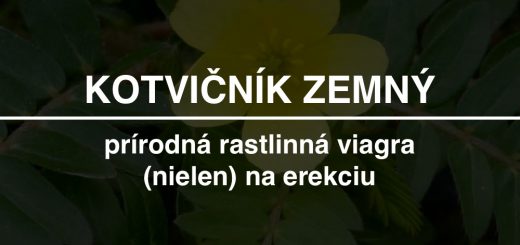 Kotviční zemný - recenzia