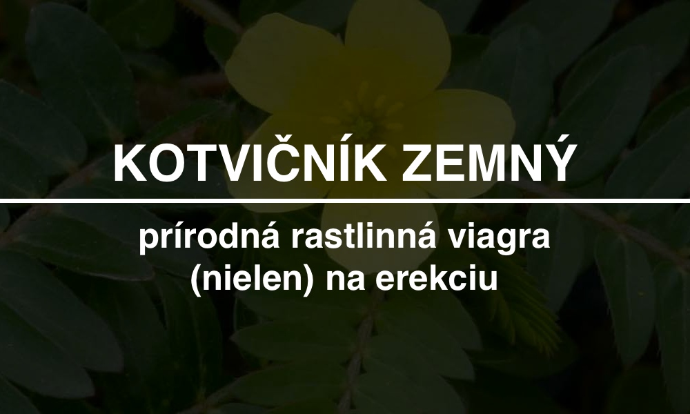 Kotviční zemný - recenzia