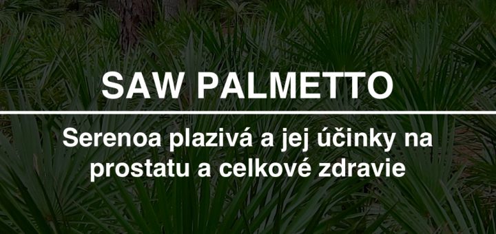Superzdravá palma Saw palmetto (Serenoa plazivá) a jej účinky na prostatu a zdravie