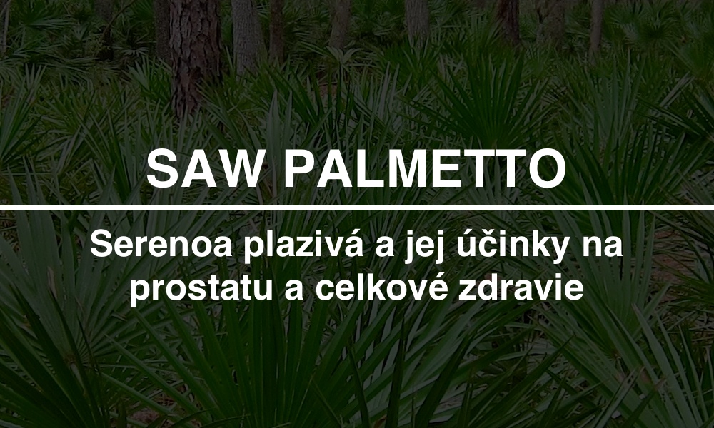 Superzdravá palma Saw palmetto (Serenoa plazivá) a jej účinky na prostatu a zdravie