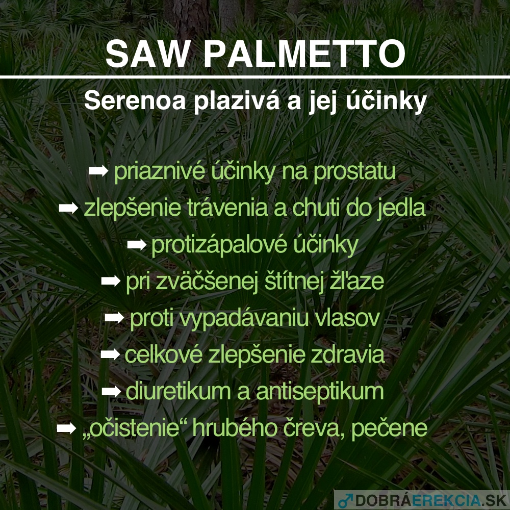 Saw Palmetto / Serenoa plazivá - účinky