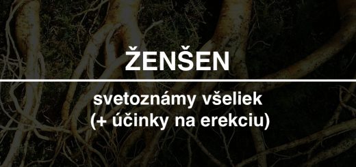 zensen-recenzia