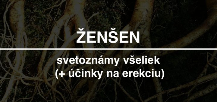 zensen-recenzia