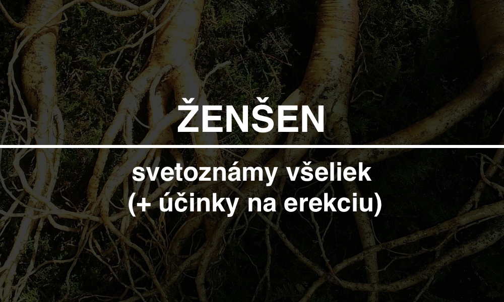 zensen-recenzia