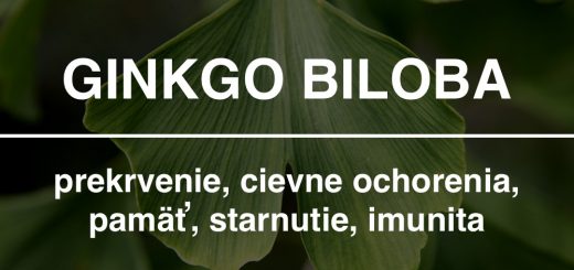 Ginkgo biloba